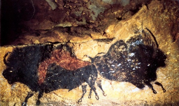 Image result for lascaux bison